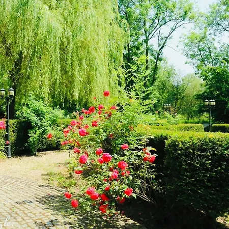 L'eveil Bed and Breakfast 3*
