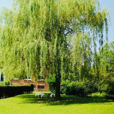 L'eveil La Louvière