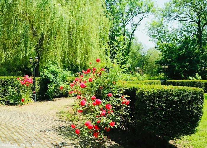 L'eveil Alojamento de Acomodação e Pequeno-almoço 3*