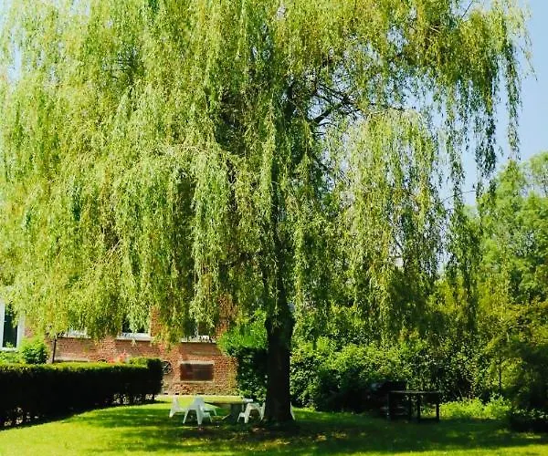 L'eveil La Louvière